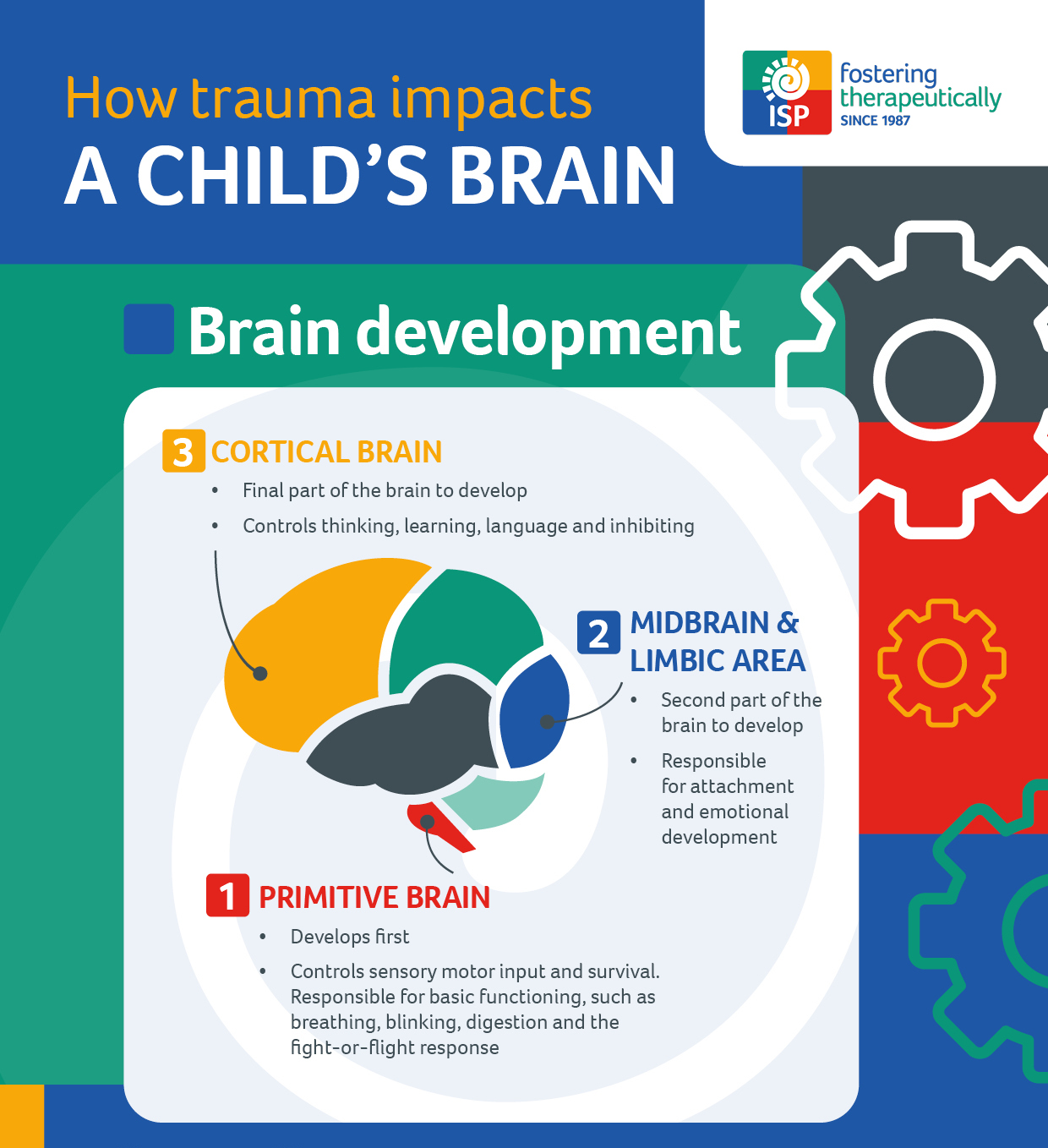 Brain development in children