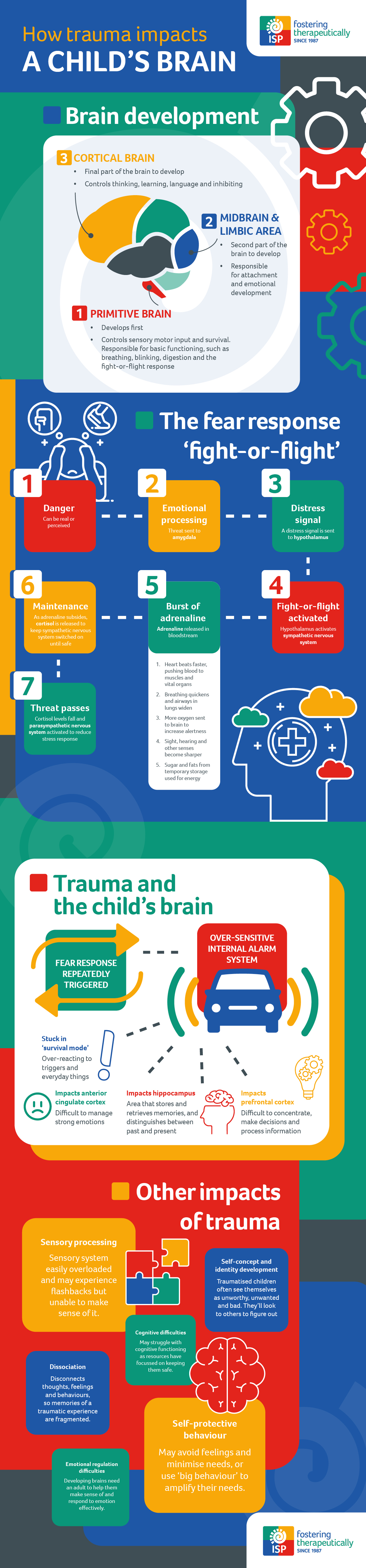 How trauma impacts a child’s brain