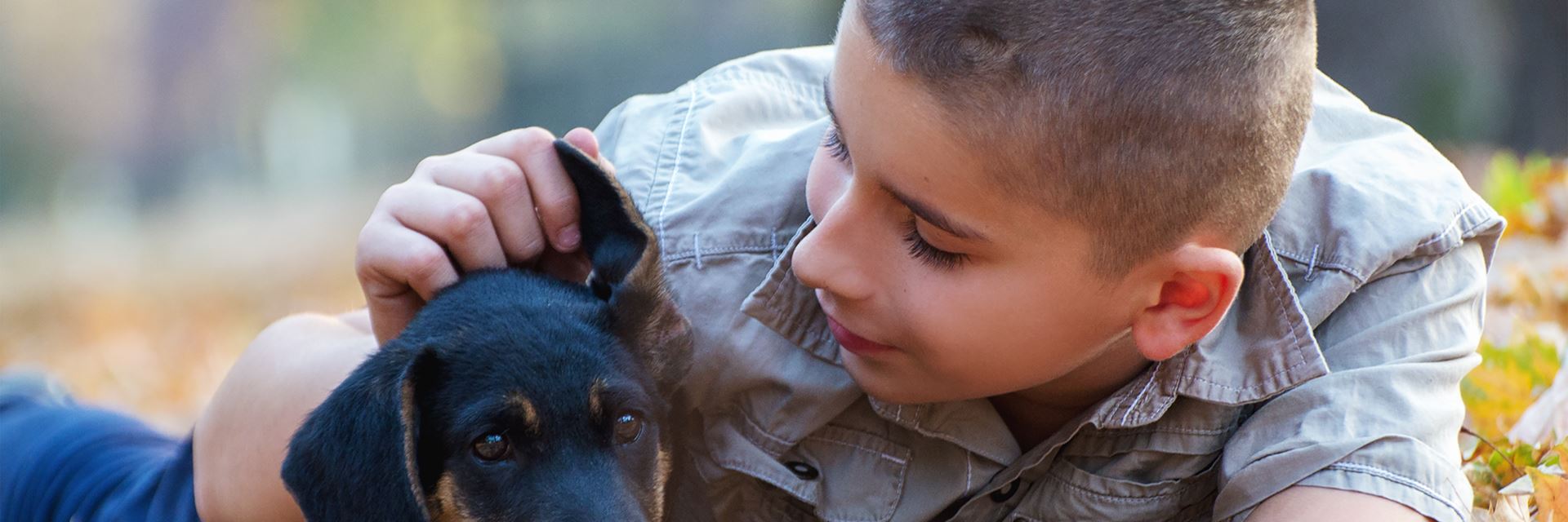 can you foster a child if you have a dog
