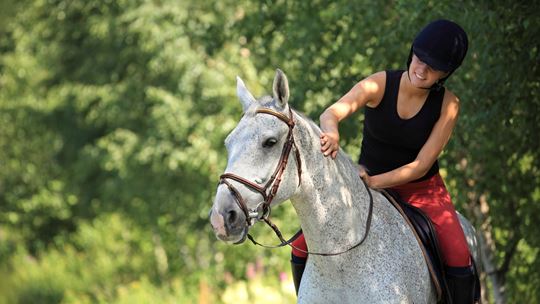 Foster child on an ISP day trip - horse riding