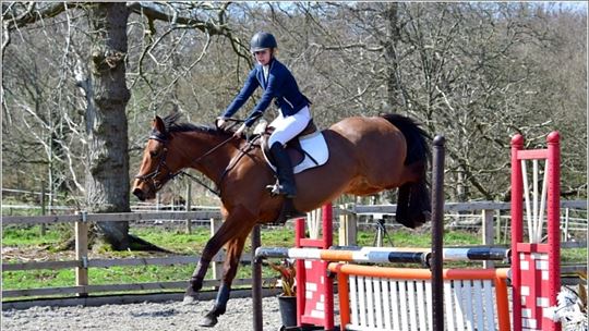 former-ISP foster child competing in regional qualifiers, including dressage, cross country and jumps