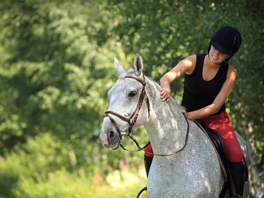 Foster child on an ISP day trip - horse riding