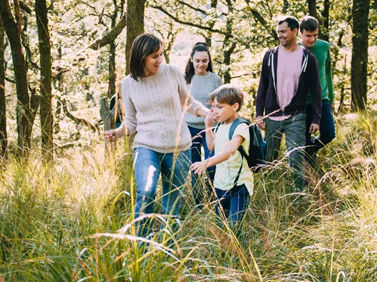 Foster children with foster parents walking through a forest