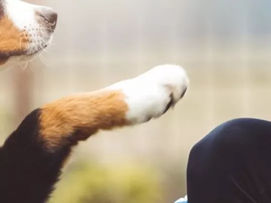Woman and a dog with a raised paw