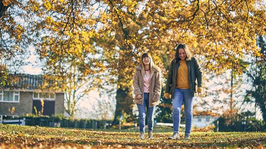hampshire and dorset fostering