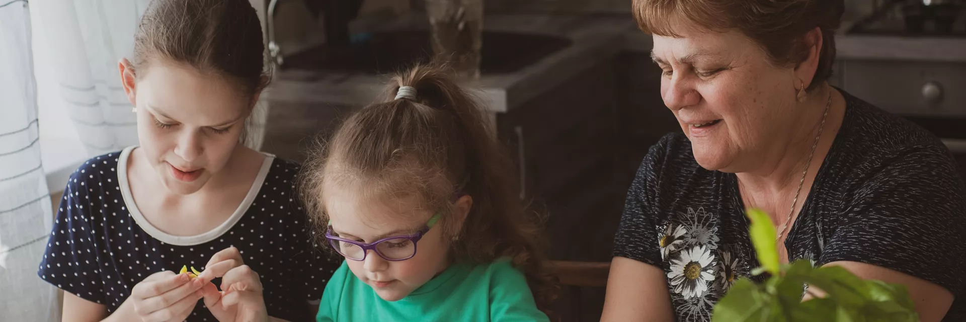 pace therapeutic parenting in foster care