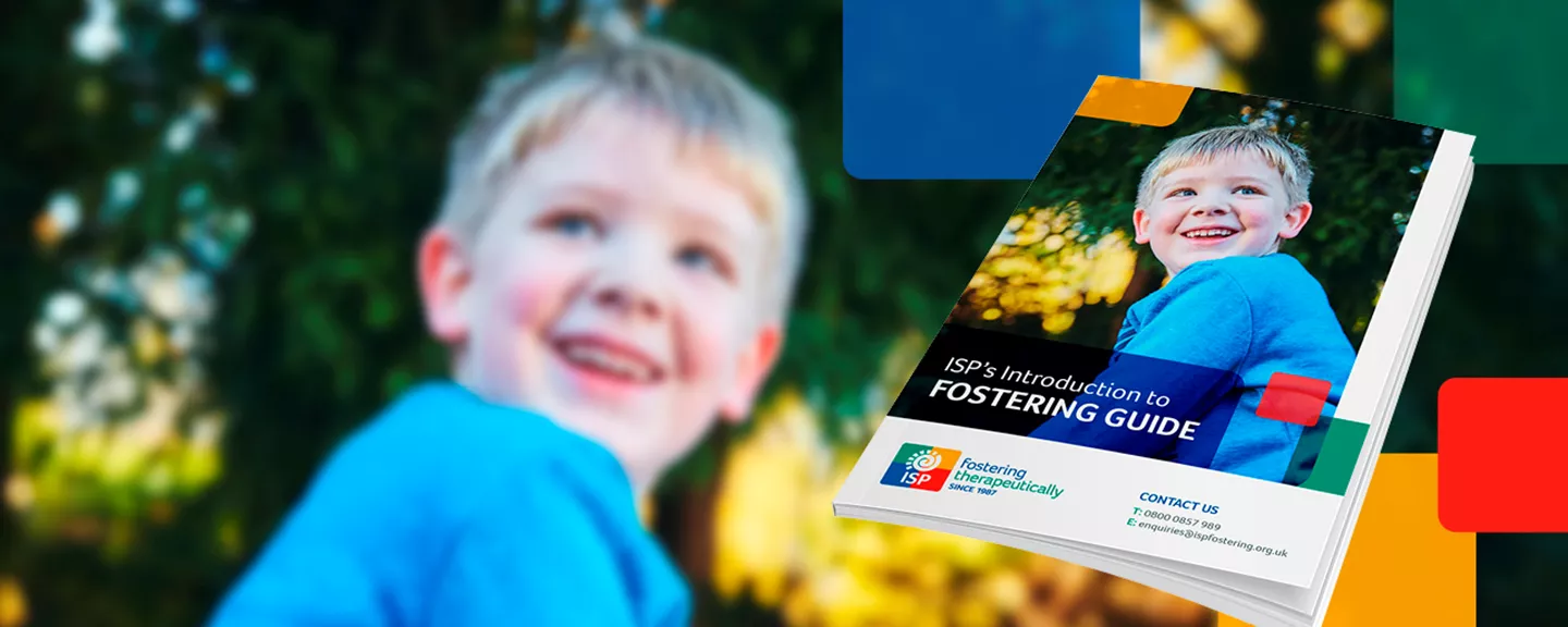 Introduction Into Fostering Download